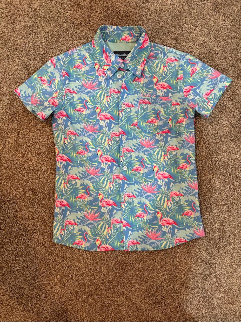 Tropical Flamingo Short-Sleeve Button-Down Shirt - Blue & Pink